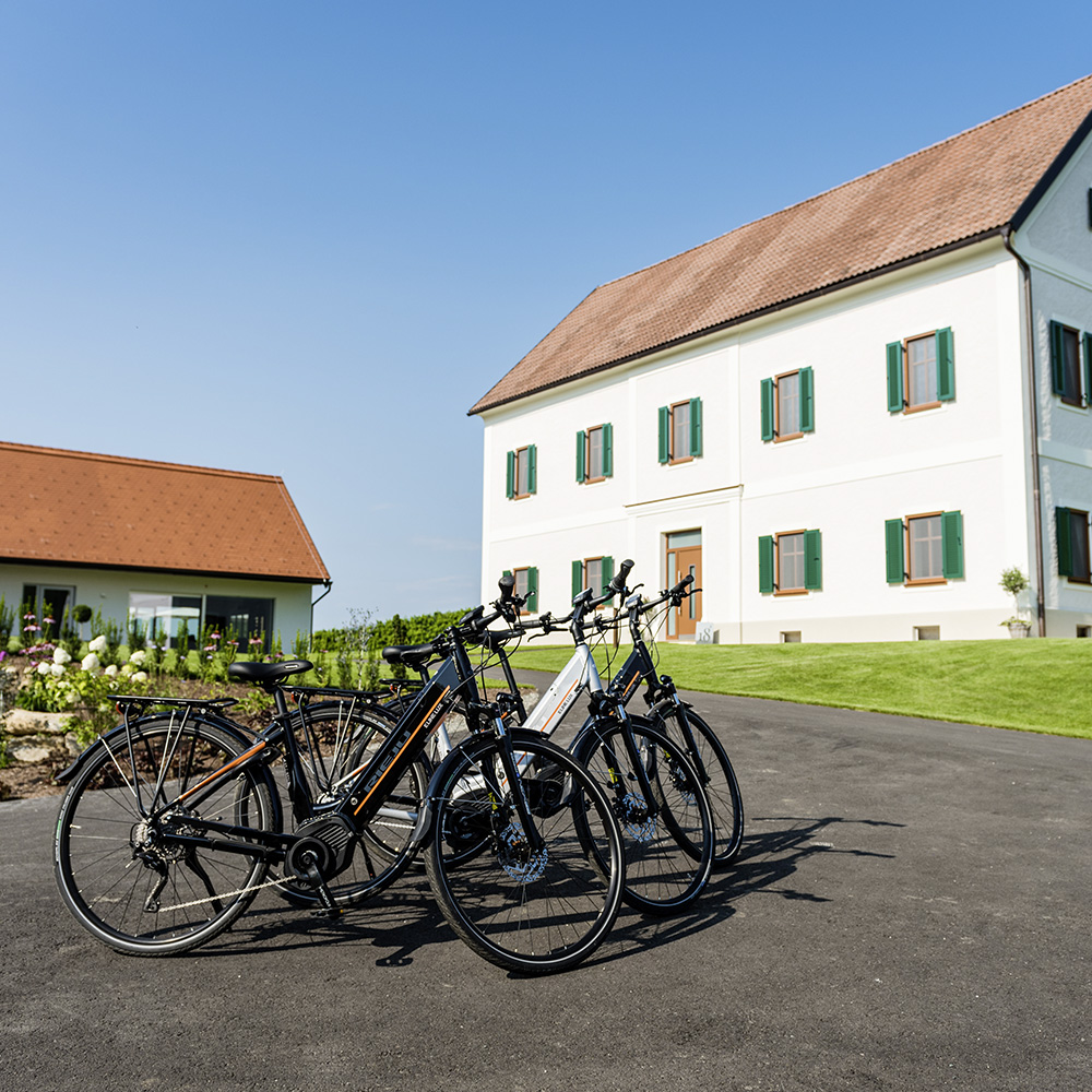 Weinschmiede Weingut Biken