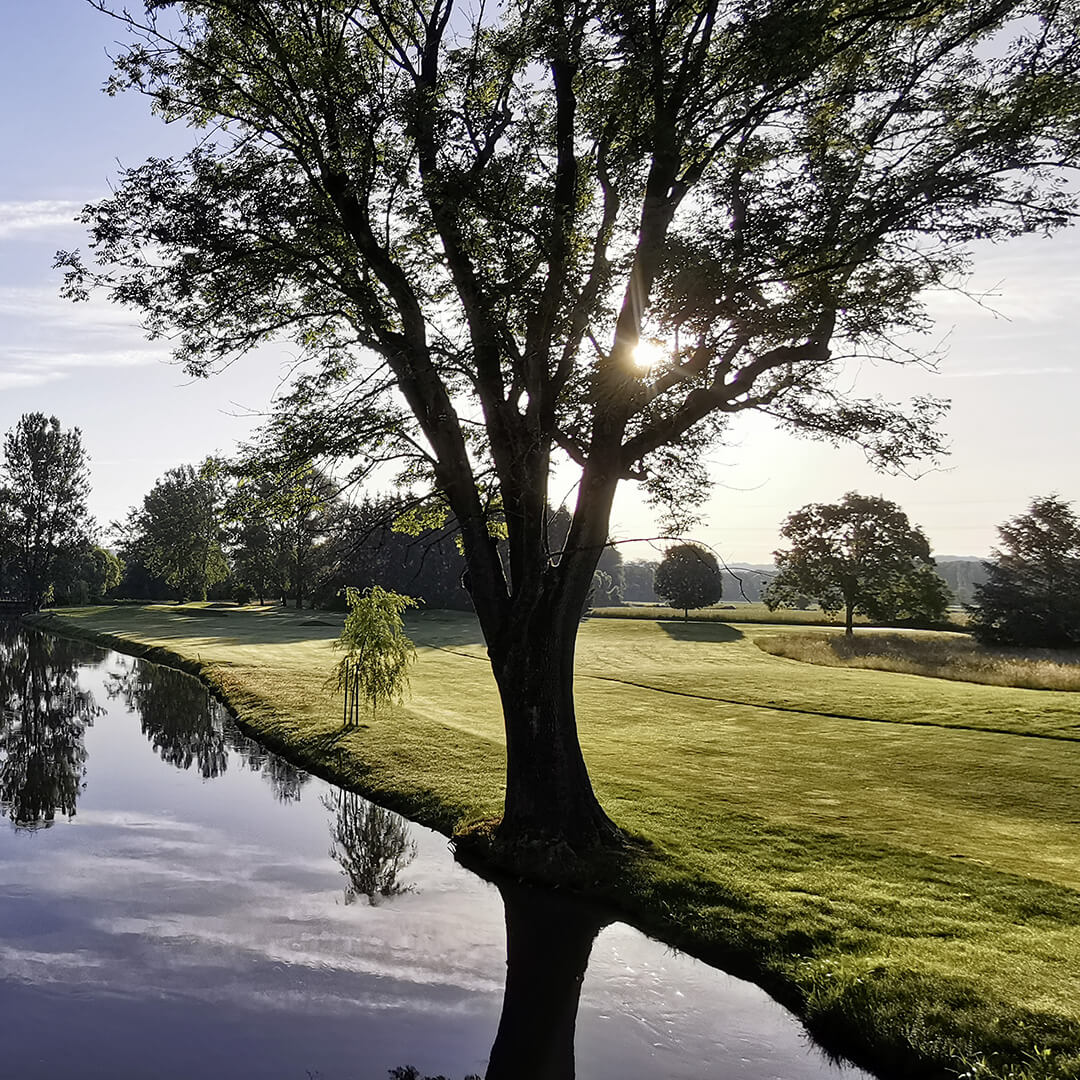 Weinschmiede Golf
