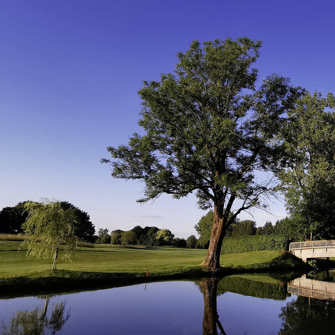 Weinschmiede Golf
