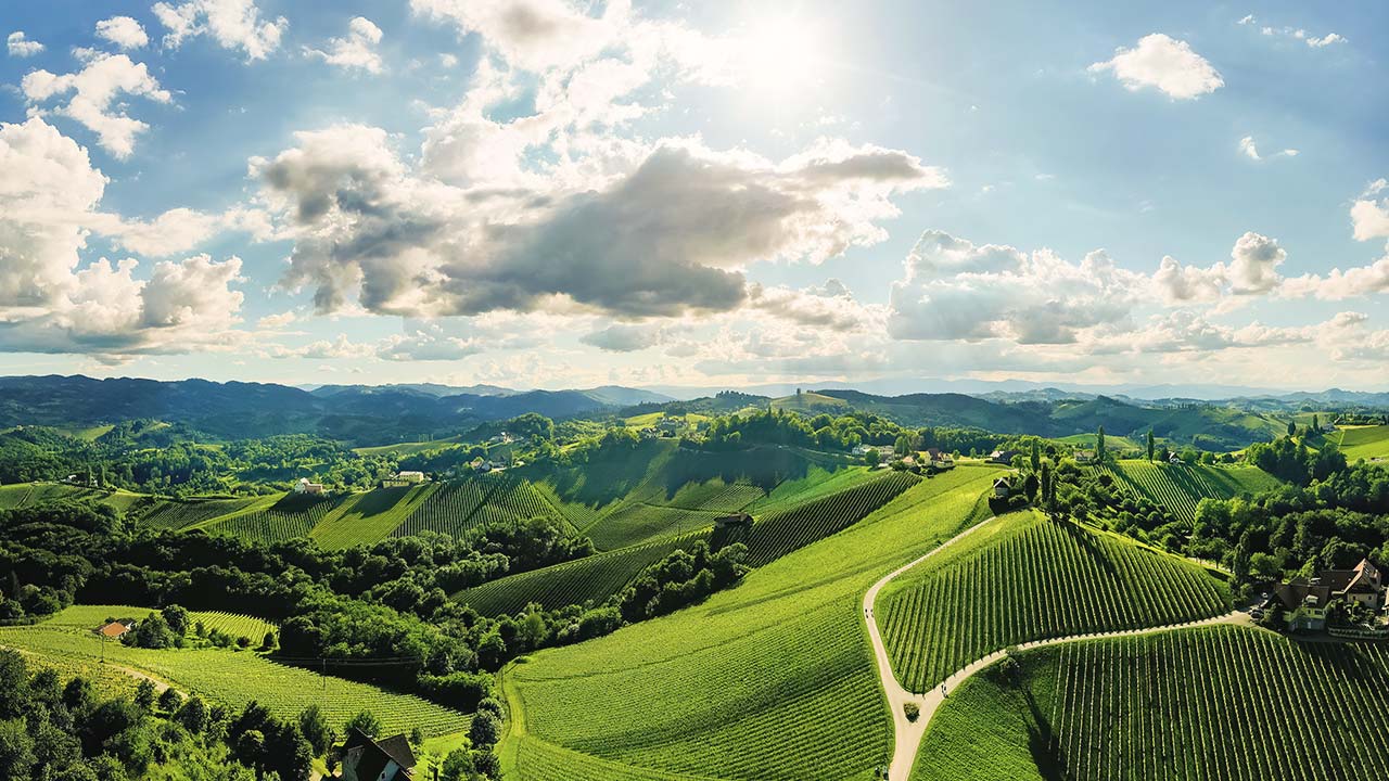 Weinschmiede18-Entdecken-Suedsteiermark
