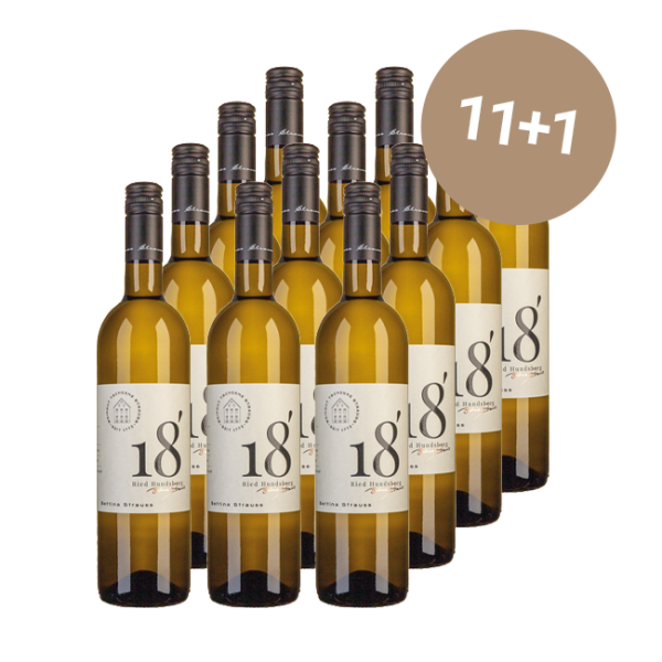 Falstaff Special 11+1